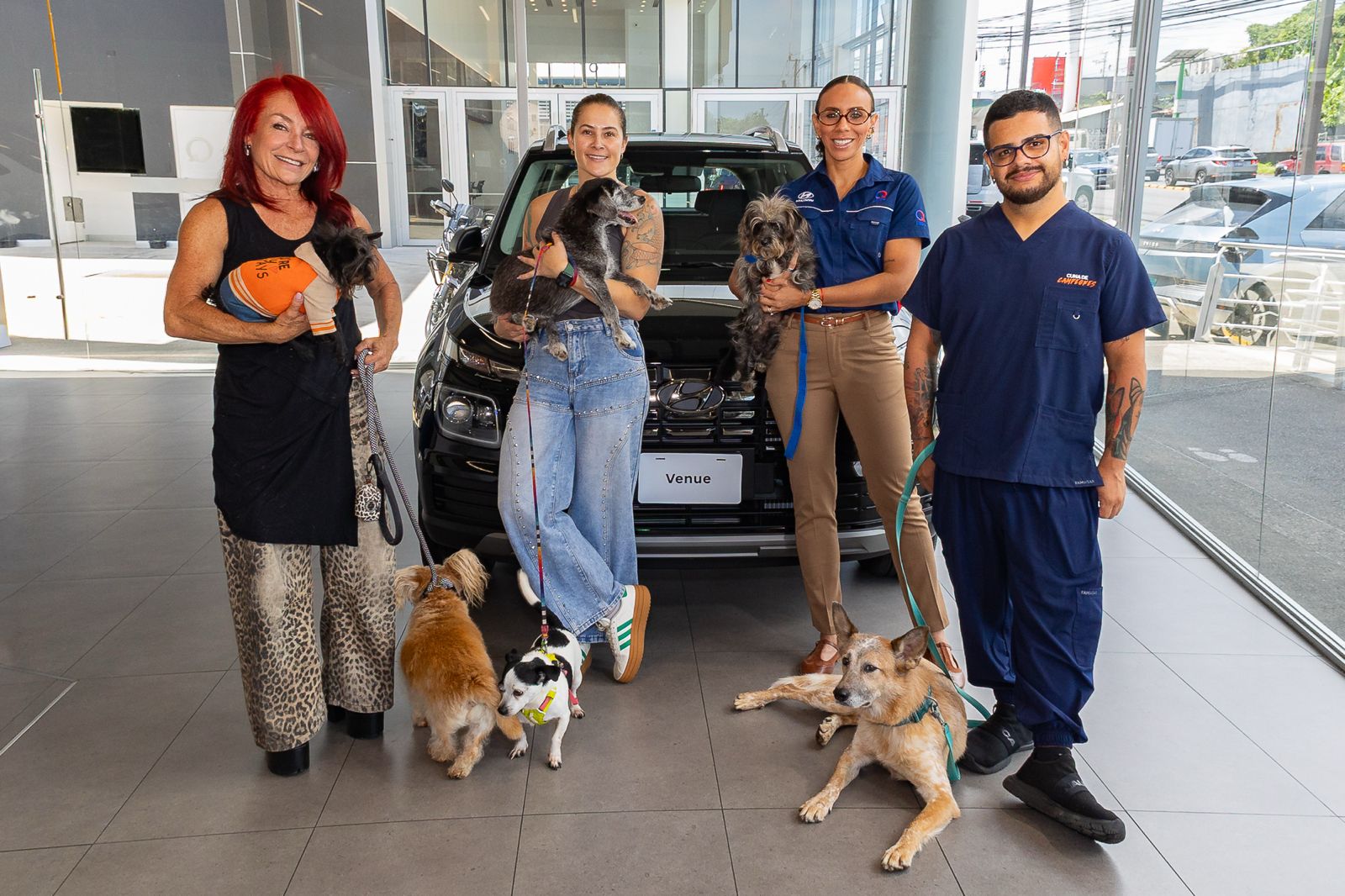 Hyundai llama a la afición a ponerse la camiseta por miles de perros de Territorio de Zaguates y Cuna de Campeones